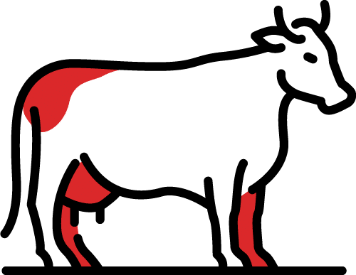 Carnes à pronta entrega